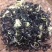 茉莉花茶特级香气足250g/罐2罐共500g