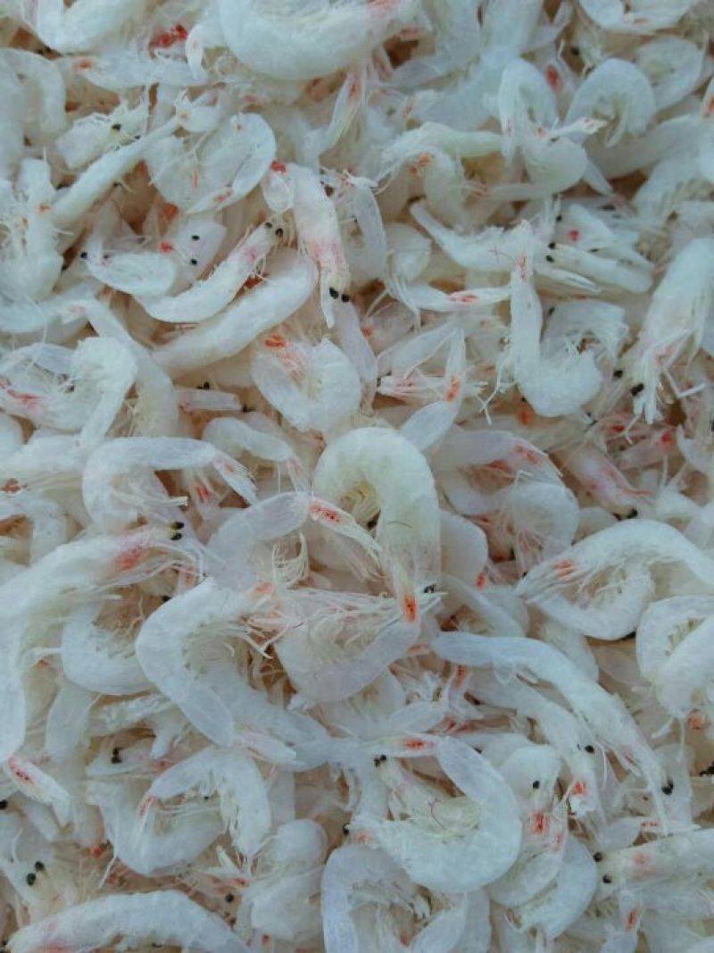 虾皮淡干虾皮