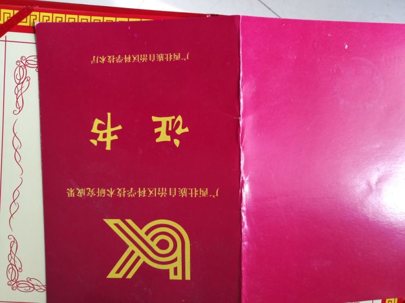 牛油果苗30~50cm