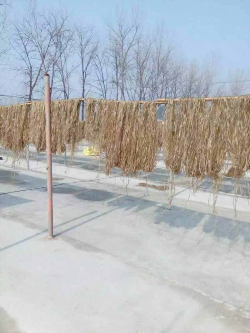 刘井纯手工制作红薯粉丝。已被列为非物质文化遗产。百年工艺