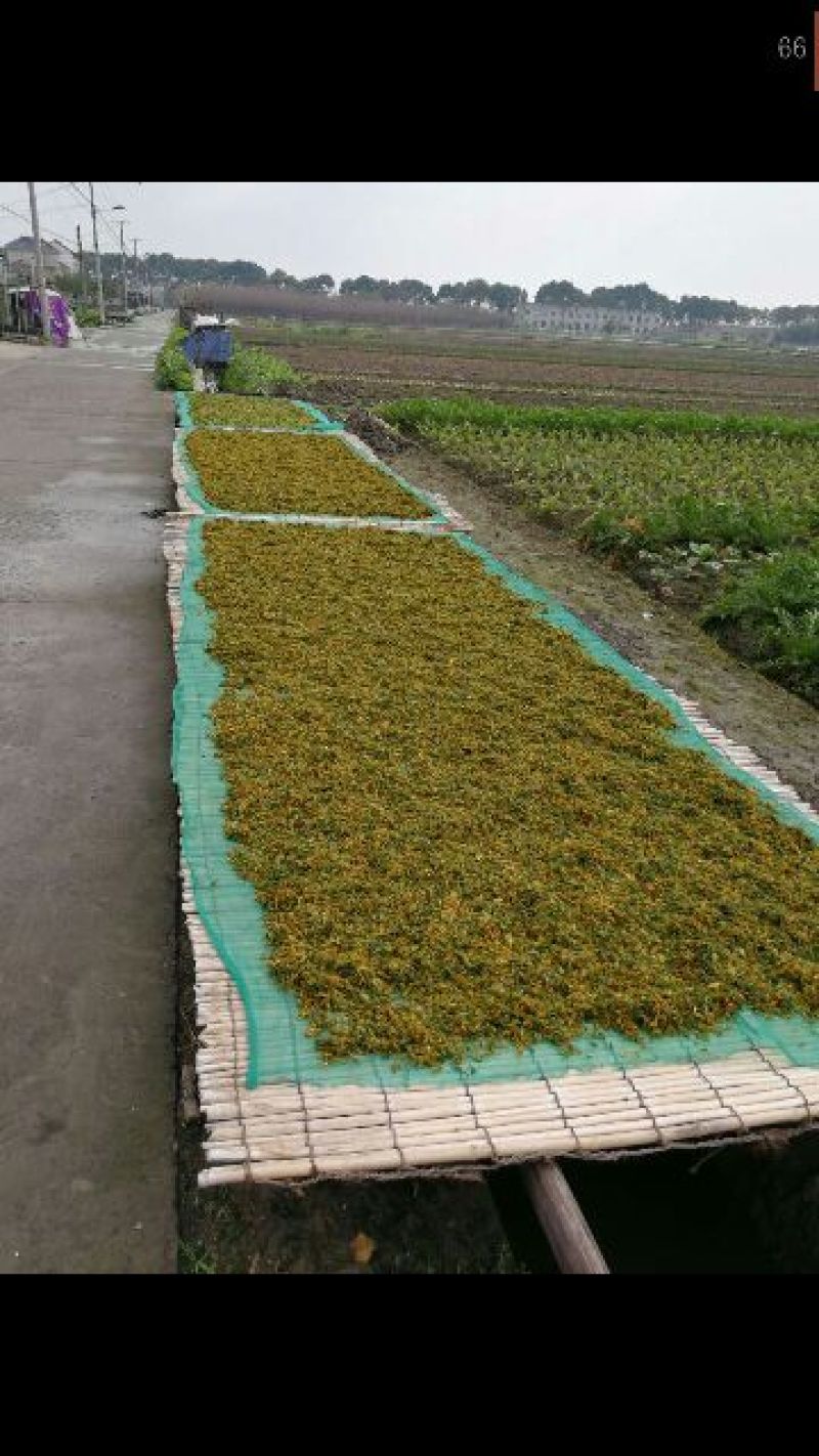 梅干菜包装