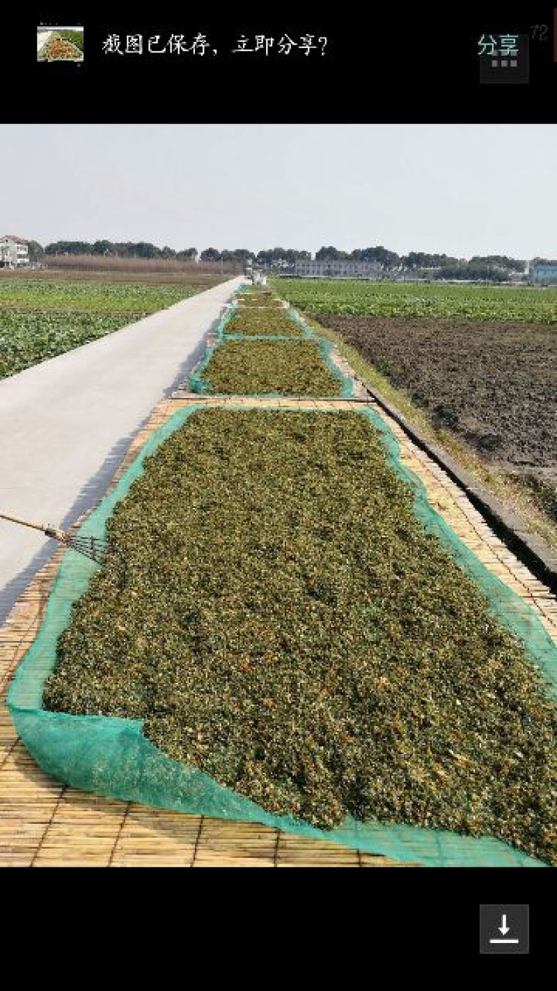 梅干菜包装