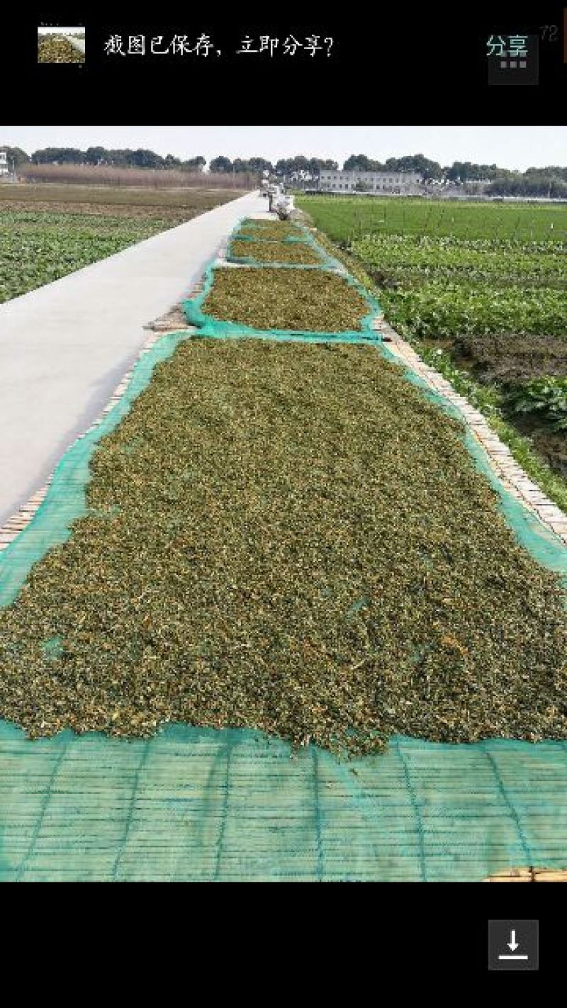 梅干菜包装