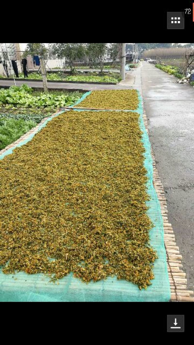 梅干菜包装