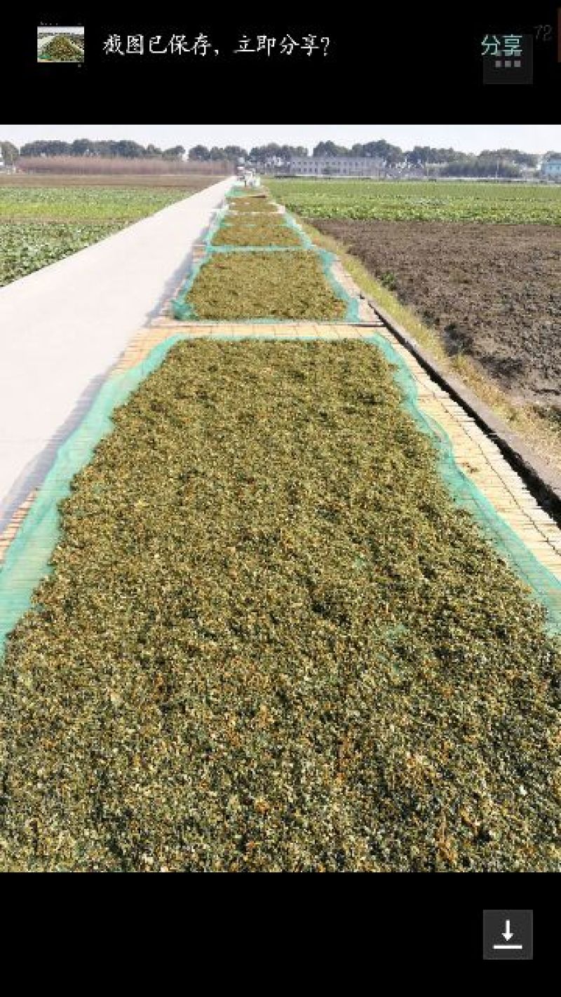 梅干菜包装