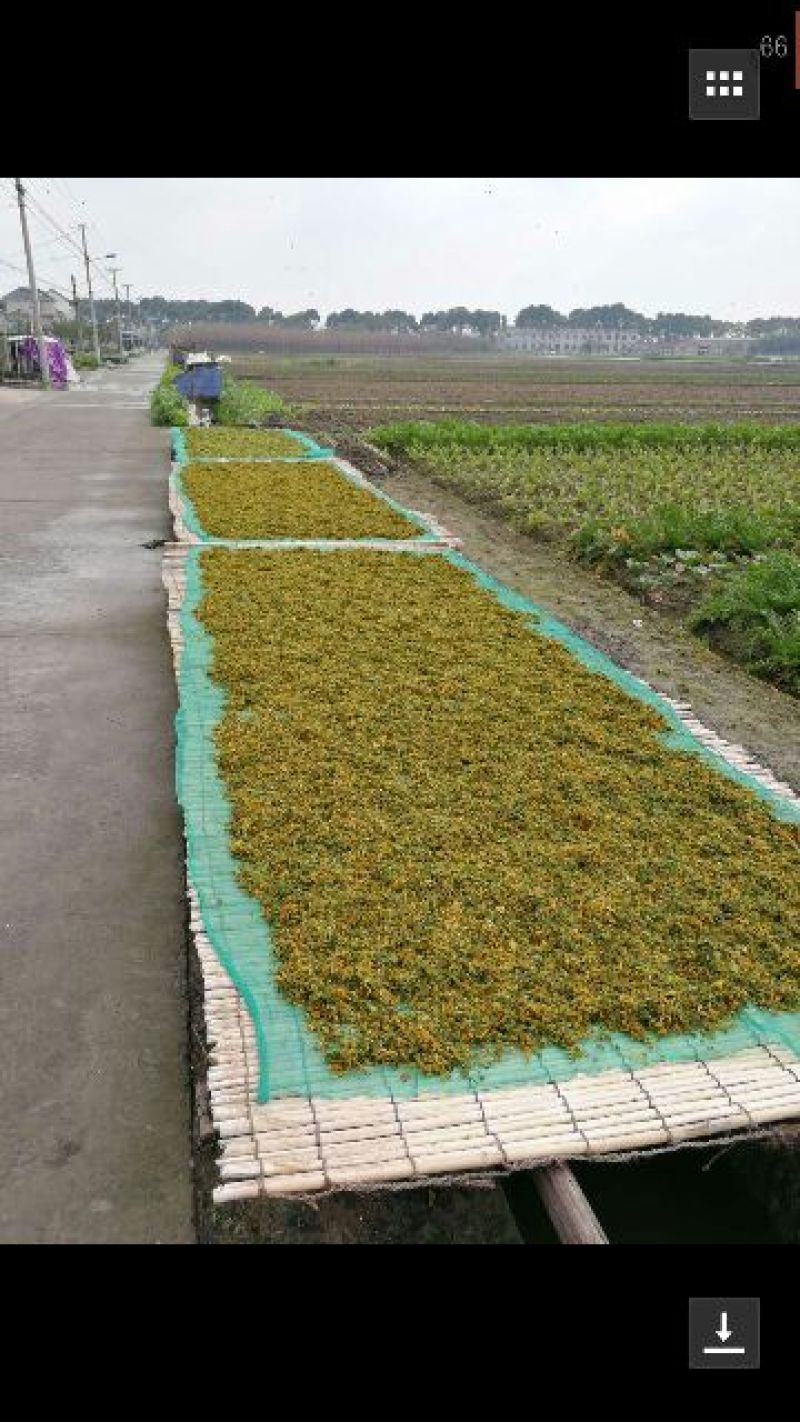 梅干菜包装