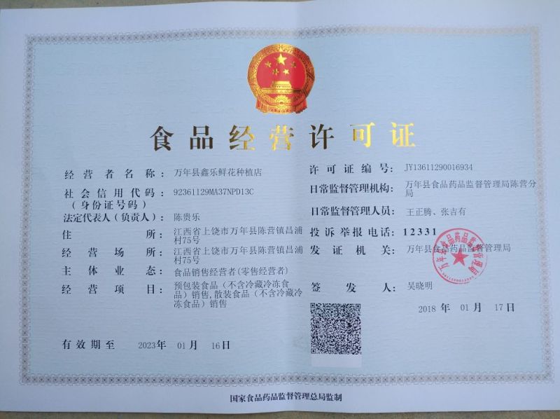 金丝皇菊茶一级