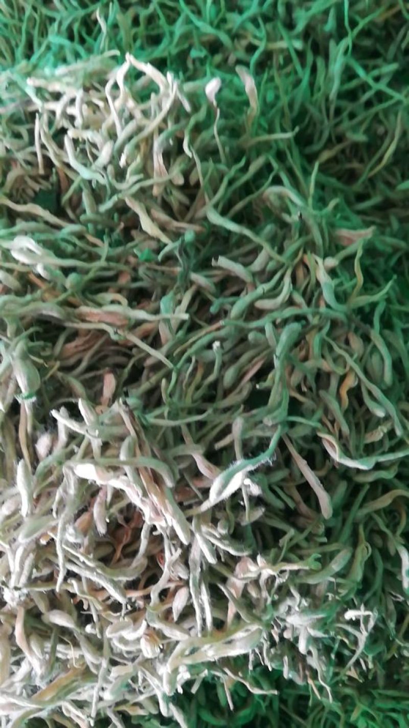 金银花，