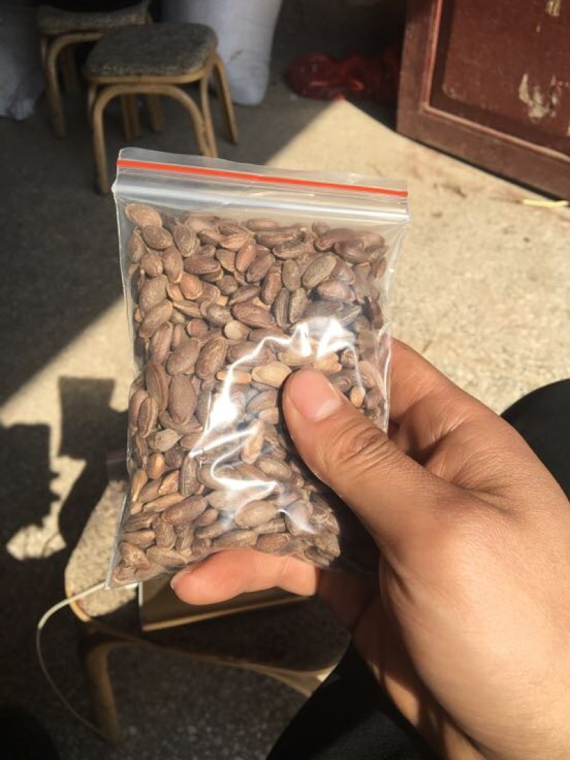 瓜蒌籽药食两用蒌仁吊瓜