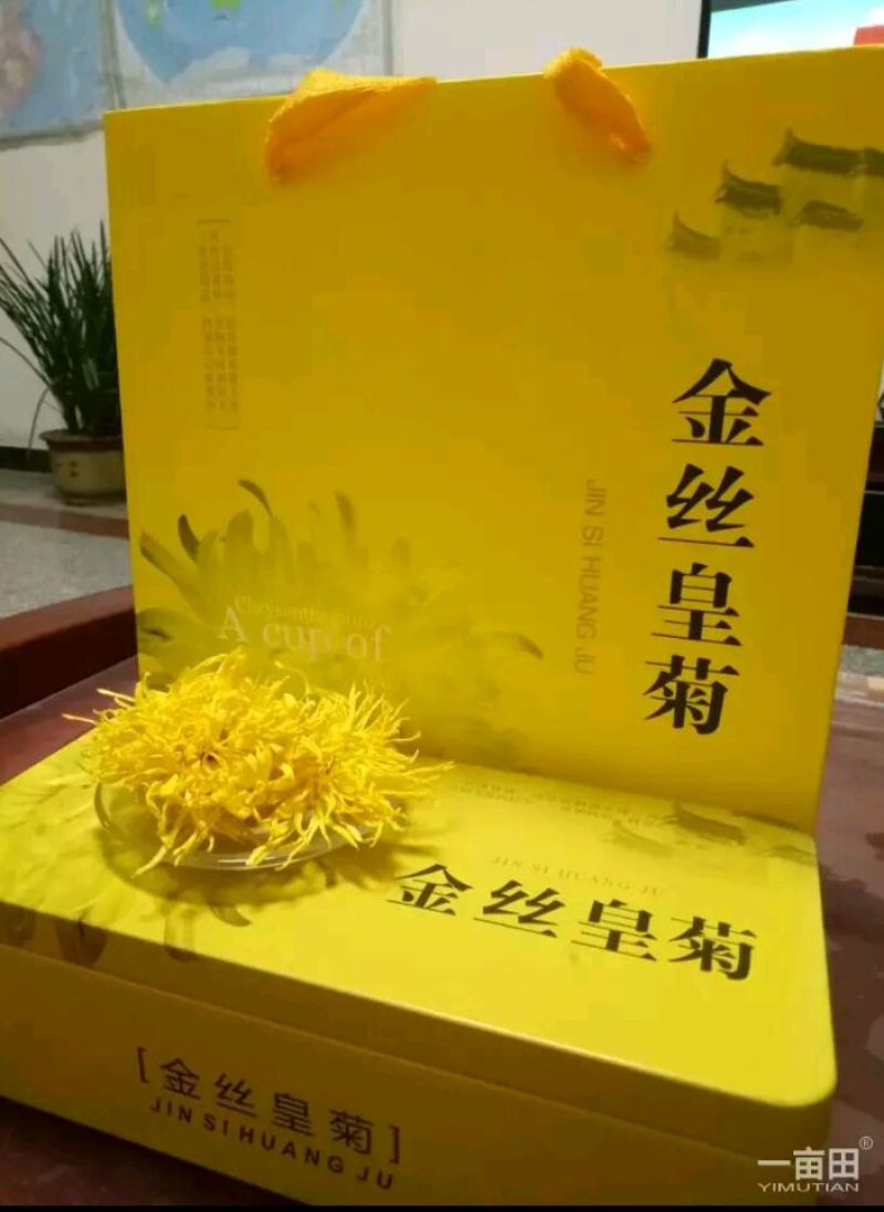 菊花茶特级