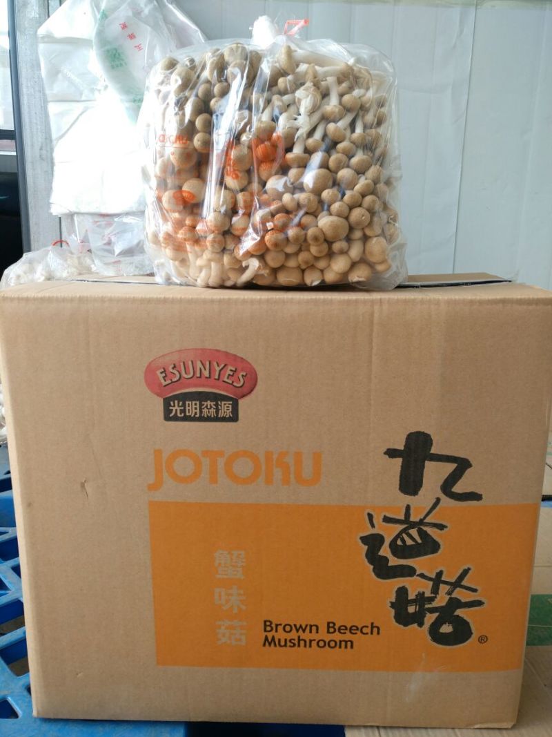 蟹味菇特级