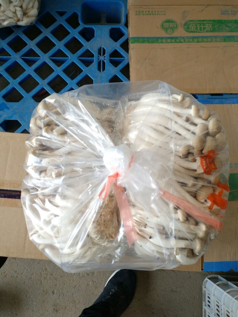 蟹味菇特级