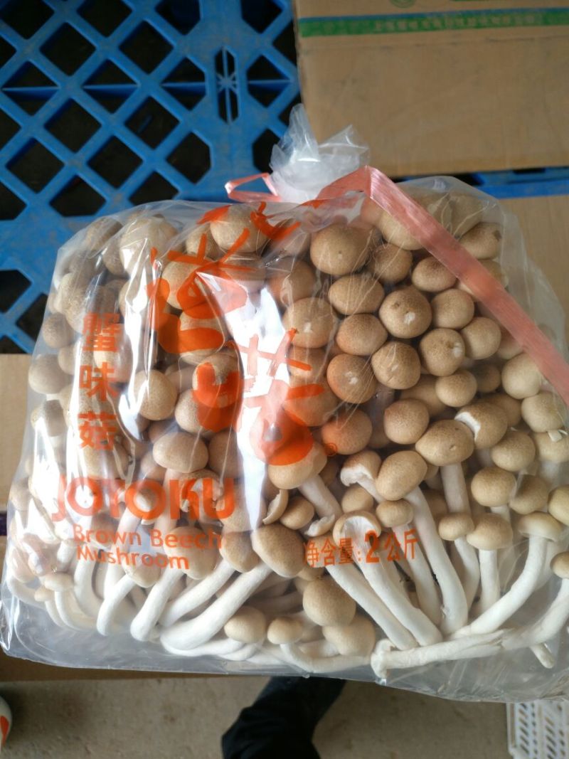 蟹味菇特级