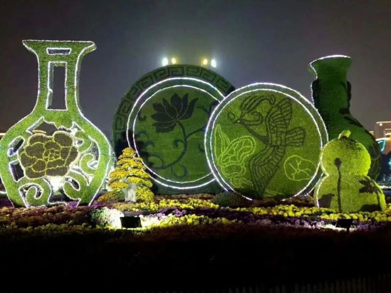 五色草10cm以下