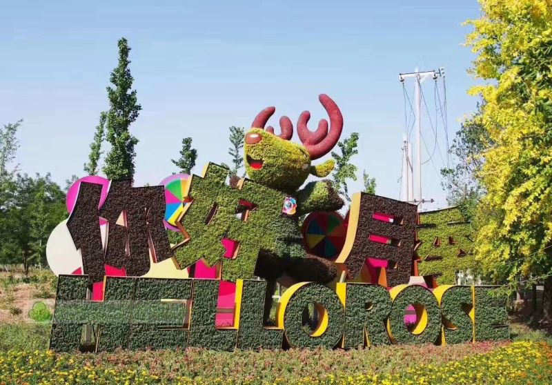 五色草10cm以下