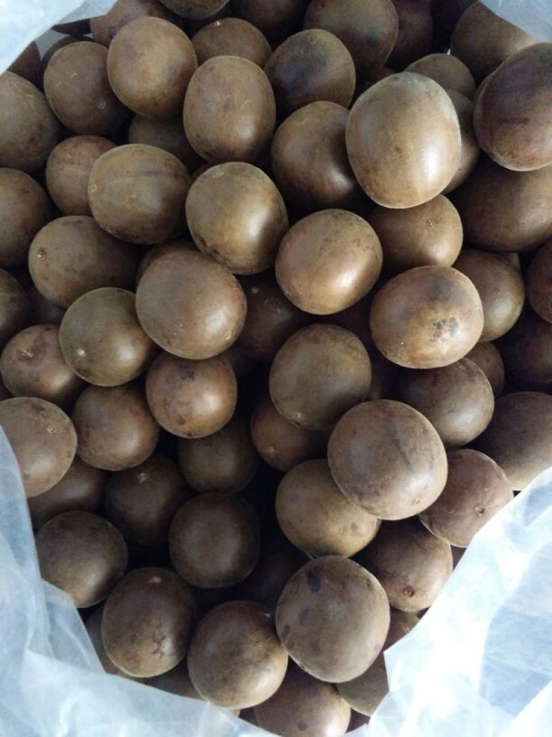 全网低价随时有货罗汉果规格齐全品质保障