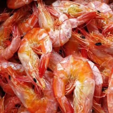 南美白对虾食用冻虾