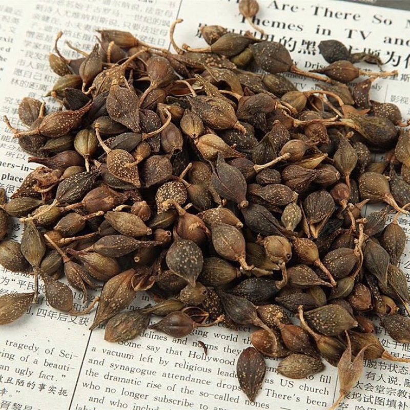 连翘青翘水煮统