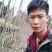 香玲核桃苗二年苗50~100cm
