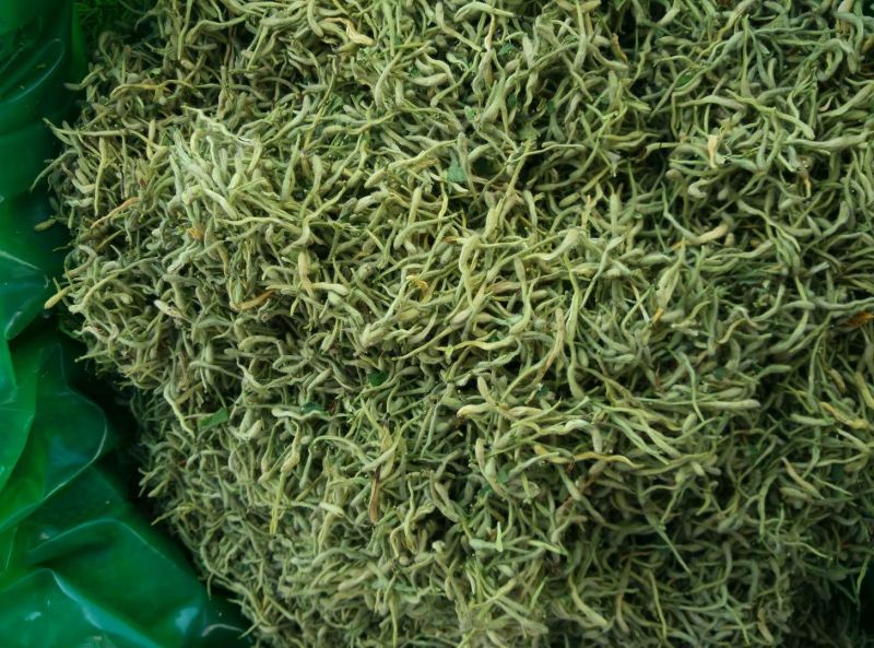 金银花青花青双花青二花品质保证产地货源