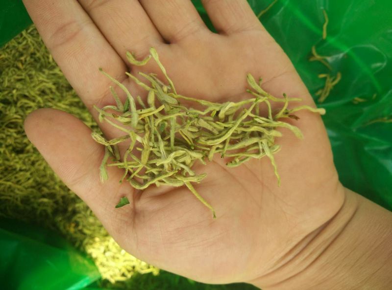 金银花青花青双花青二花品质保证产地货源