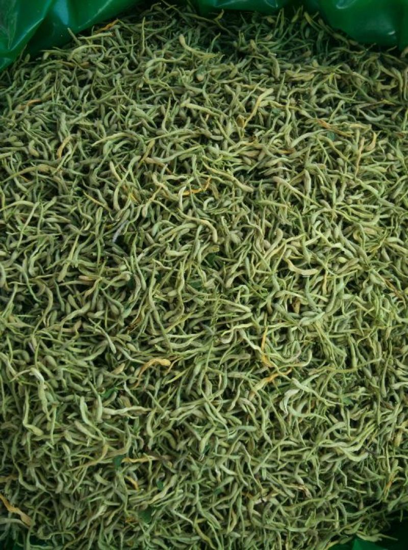 金银花青花青双花青二花品质保证产地货源