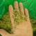 金银花青花青双花青二花品质保证产地货源