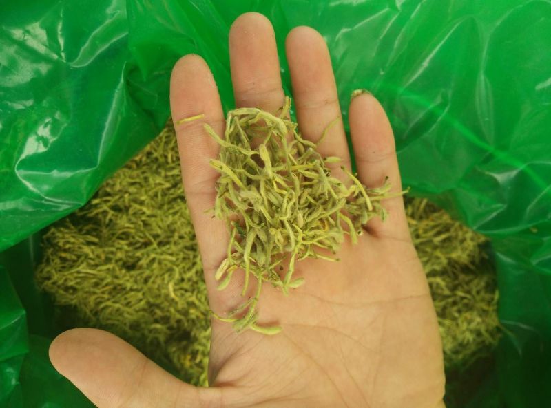 金银花青花青双花青二花品质保证产地货源