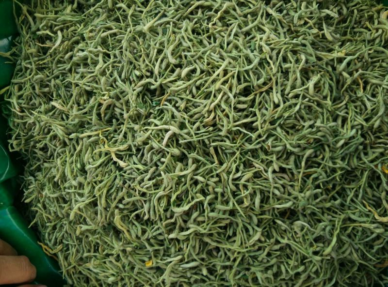 金银花青花青双花青二花品质保证产地货源