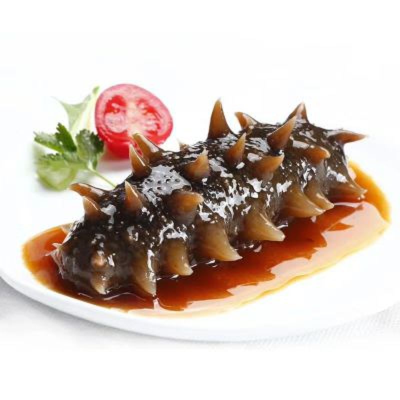 海参食用鲜活