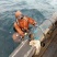 海参食用鲜活