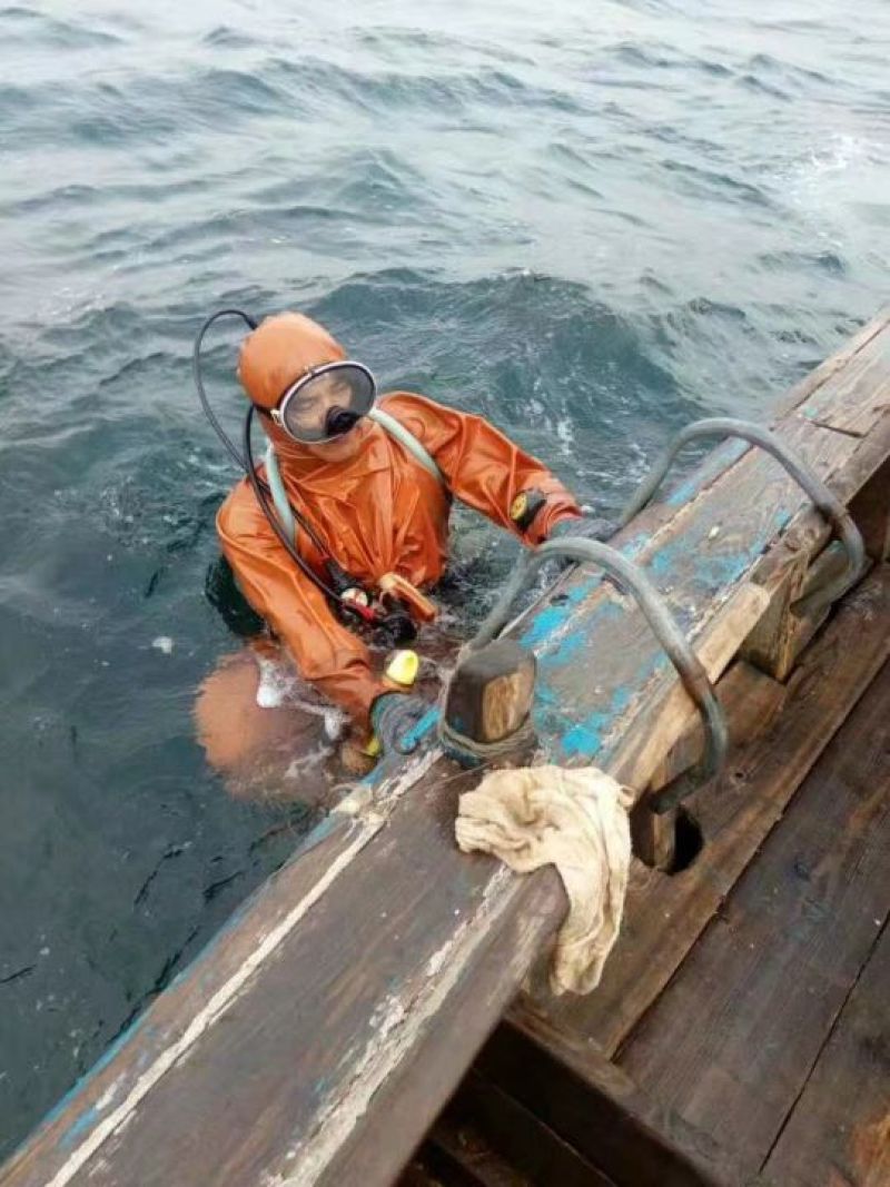 海参食用鲜活