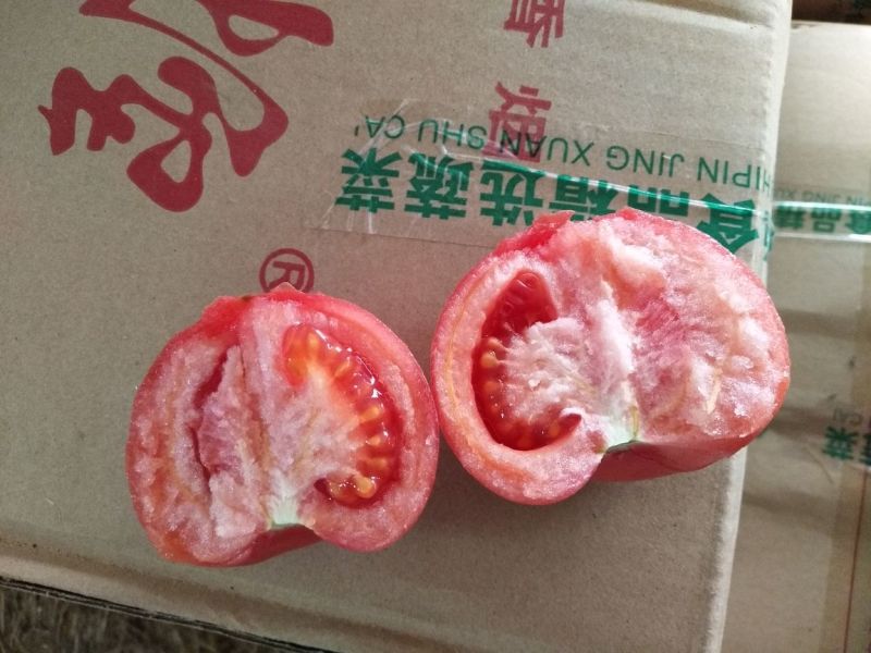 【精选】硬粉西红柿多汁番茄代办代发电商供应量大优惠