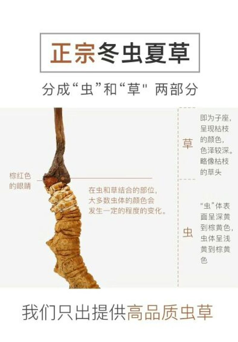 【企业认证】2025年新货上市青海玉树精品大草