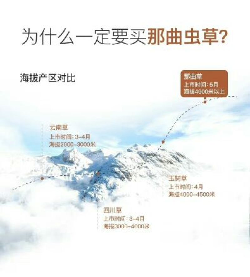 【企业认证】2025年新货上市青海玉树精品大草