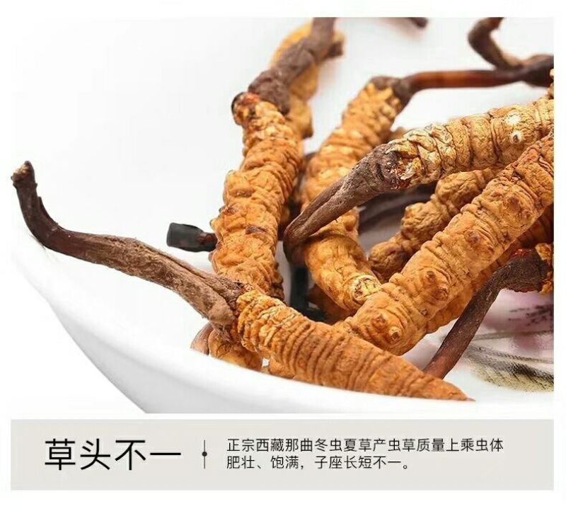 【企业认证】2025年新货上市青海玉树精品大草