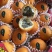 哥伦比亚黄金百香果种苗10~20cm