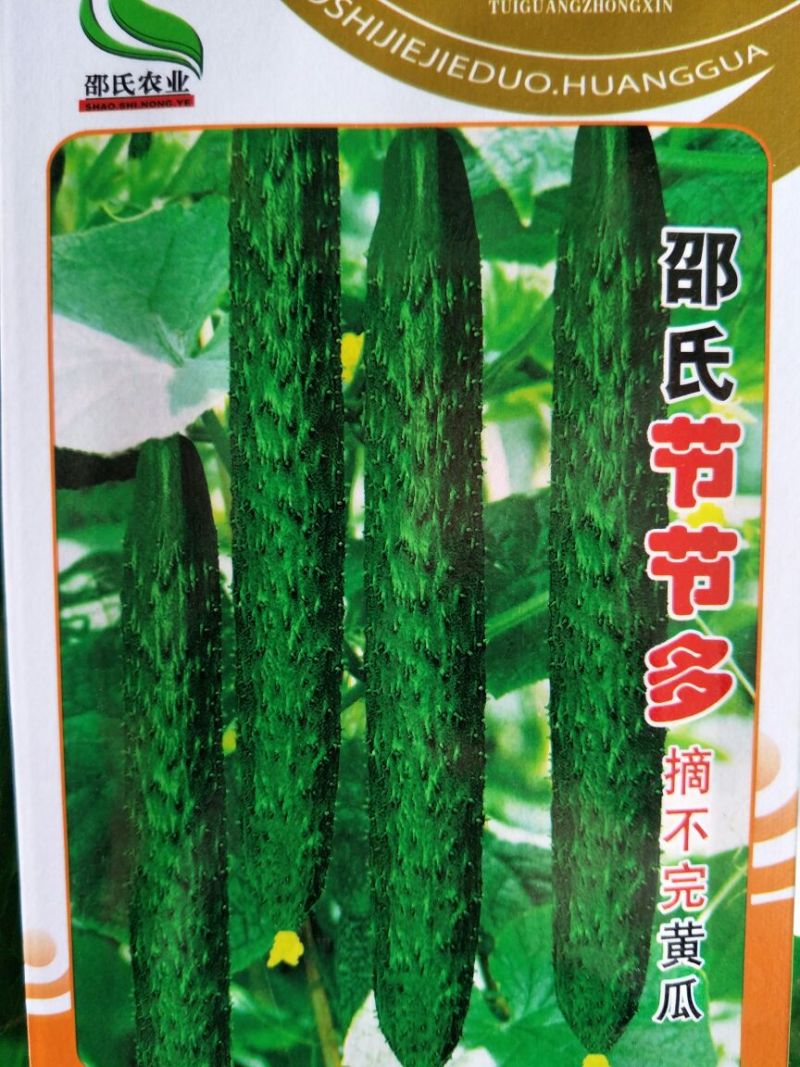黄瓜种子95%以上