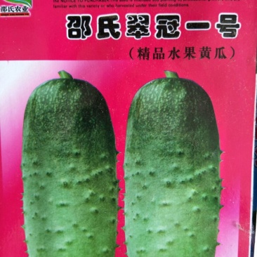 黄瓜种子95%以上