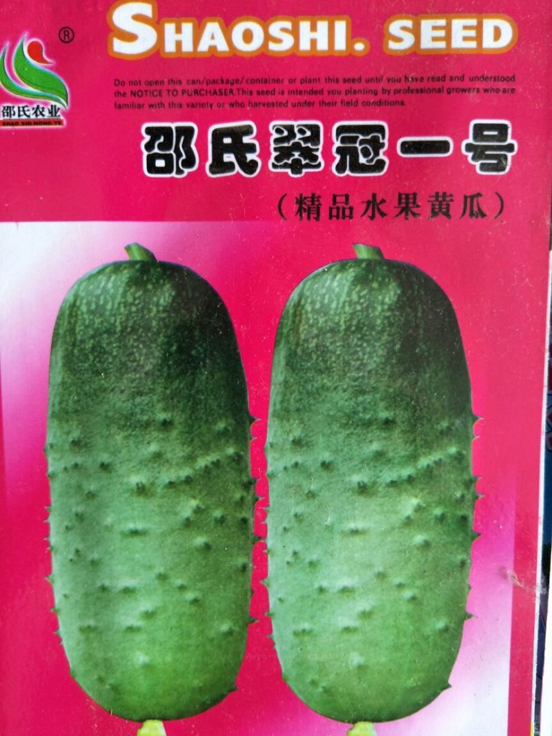 黄瓜种子95%以上