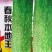 黄瓜种子95%以上