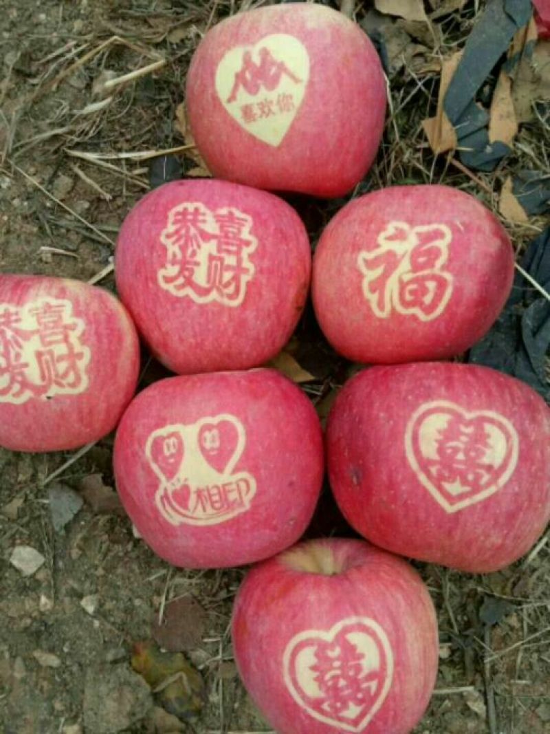 红富士苹果80以上条苹果低价处