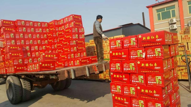 新疆若羌红枣灰枣出口越南东南亚电商团购货源厂家日供百吨