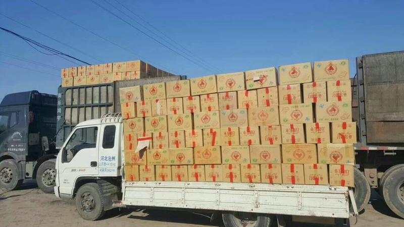 新疆若羌红枣灰枣出口越南东南亚电商团购货源厂家日供百吨