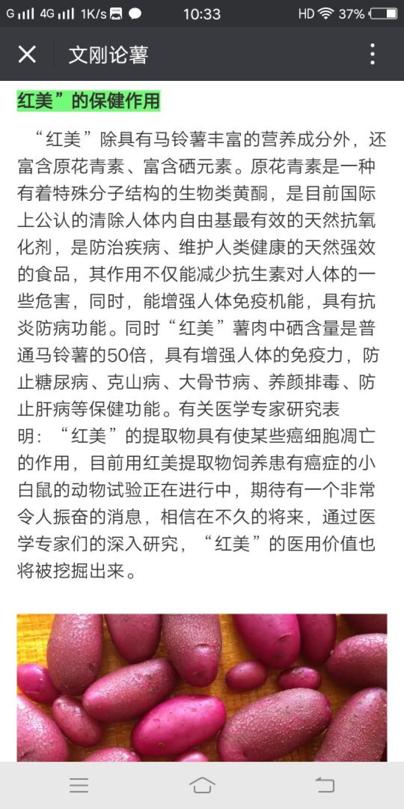 红心土豆2两以上精品