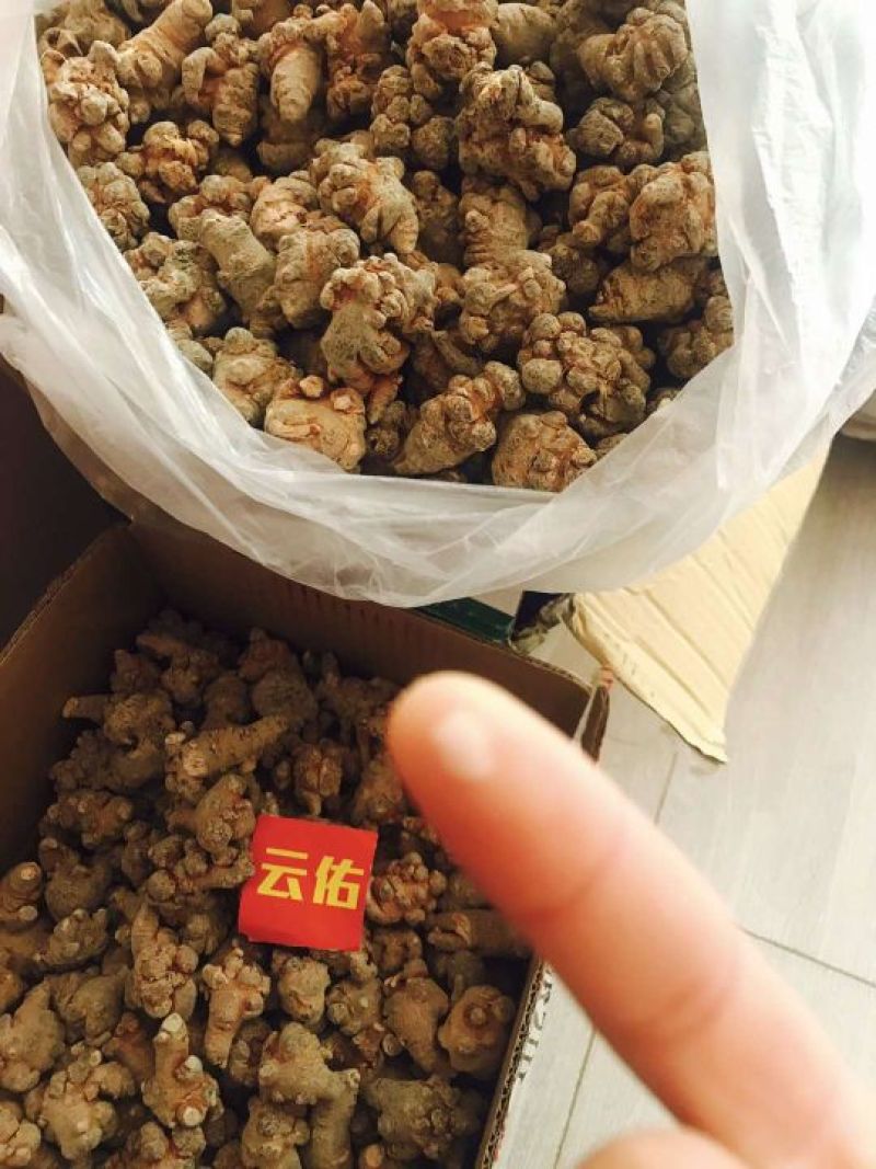 土三七