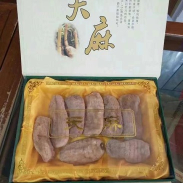 天麻一级