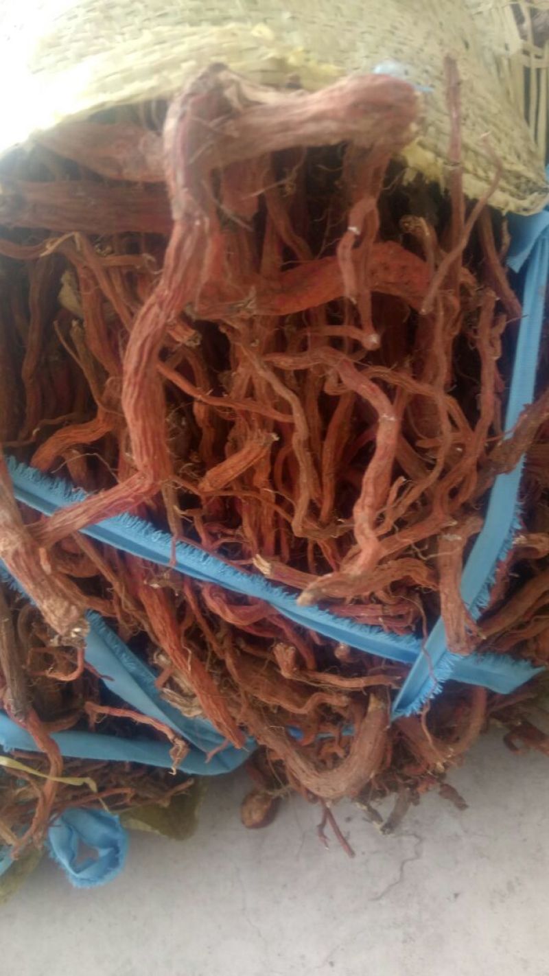 丹参一级，沂蒙山山区里的特产，批发零售产地直发