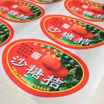 包装纸