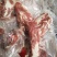 前排肉冷冻